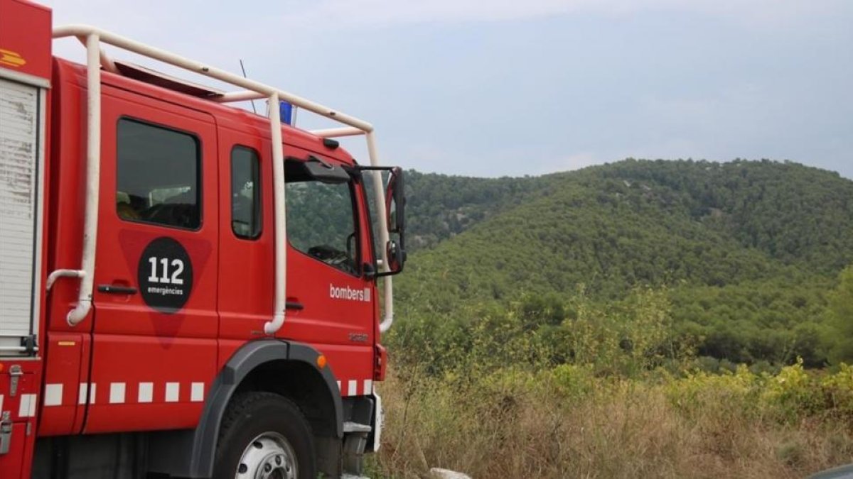 Camión de bomberos.