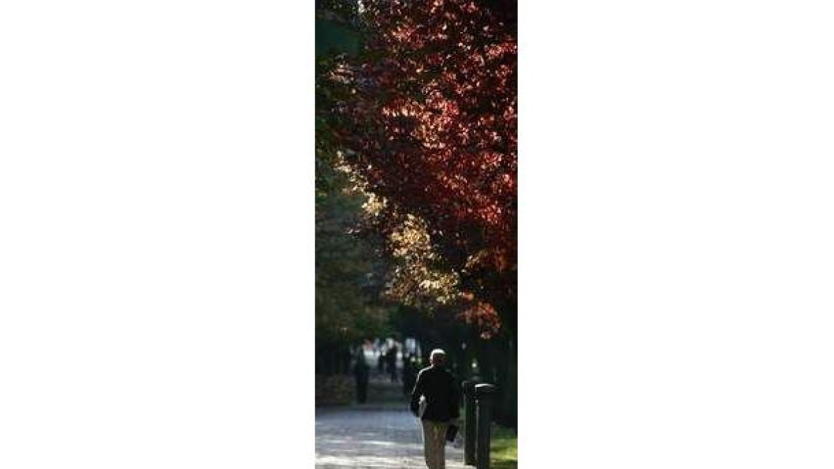 El otoño tendrá temperaturas estables este año.
