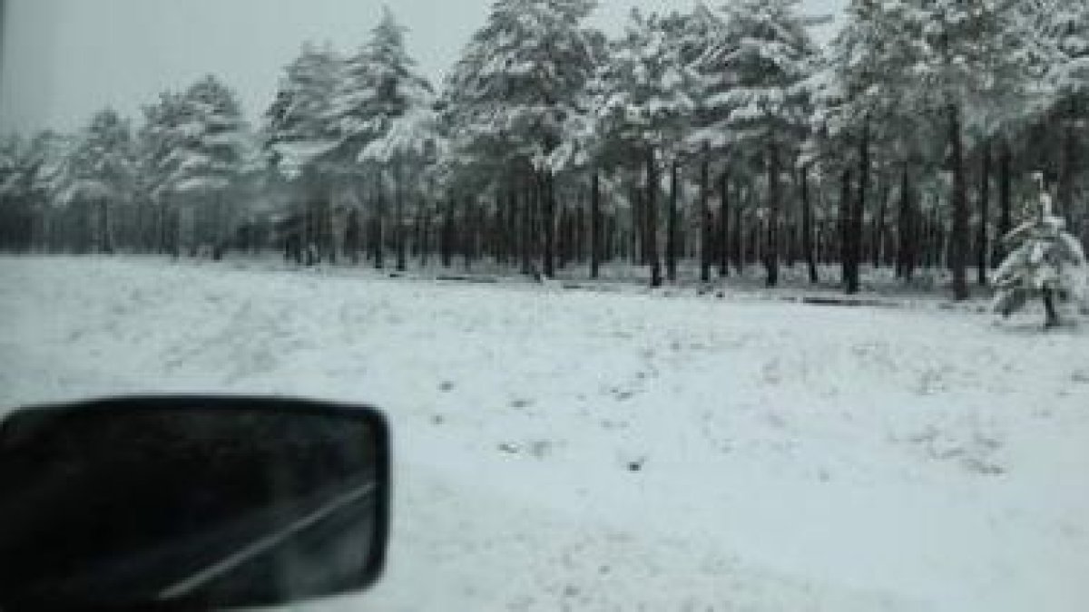 La nieve volvió a aparecer ayer con notoriedad en zonas altas de León.