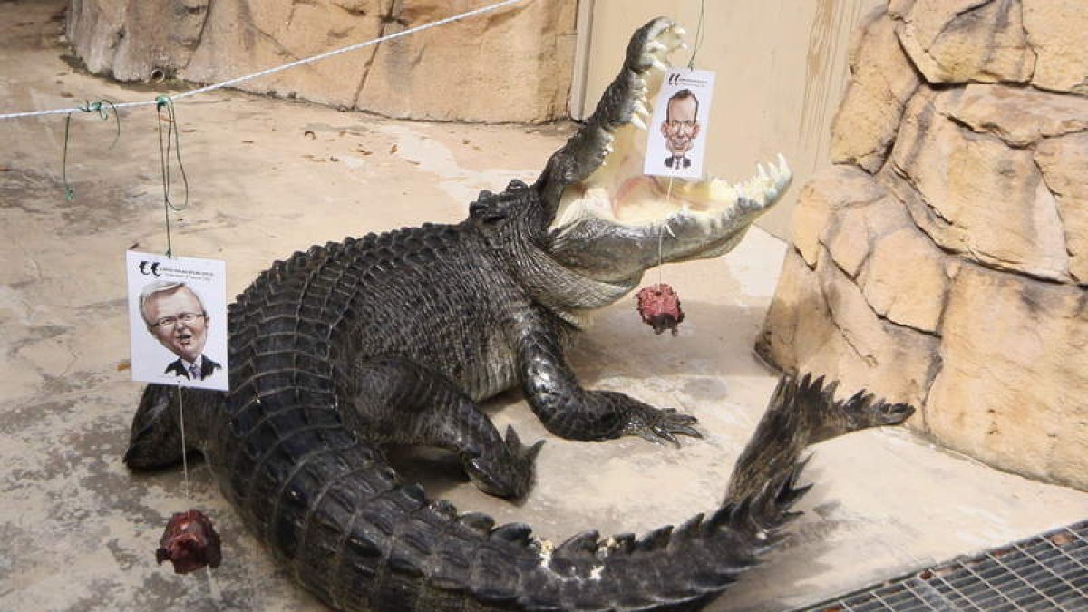 darwin crocodile park