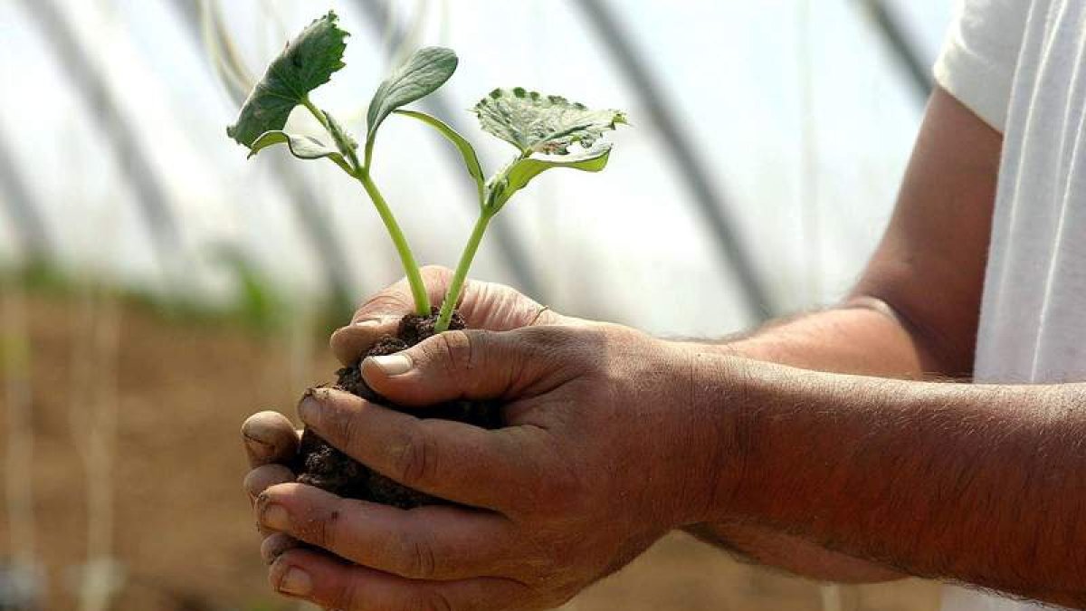 Grupo de agricultores de vida sana y consumo responsable de Villamer. p.g.
