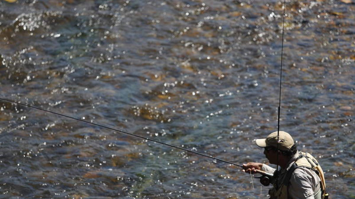 La temporada de pesca 2019 se presenta positiva. JESÚS F. SALVADORES