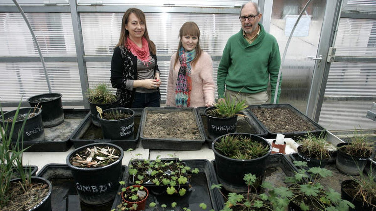 Carmen Acedo, Alicia Alonso y Félix Llamas, profesores de Botánica de la Facultad de Biología de León.