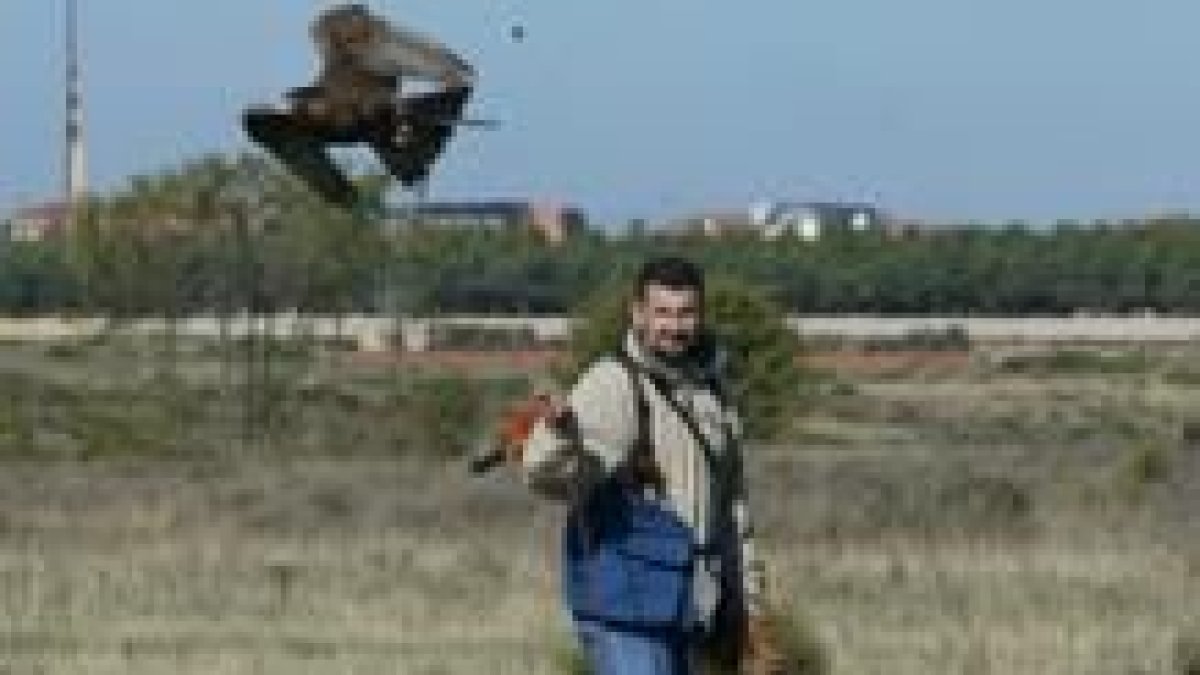 Uno de los cetreros participantes en estas octavas jornadas observa el vuelo de su halcón