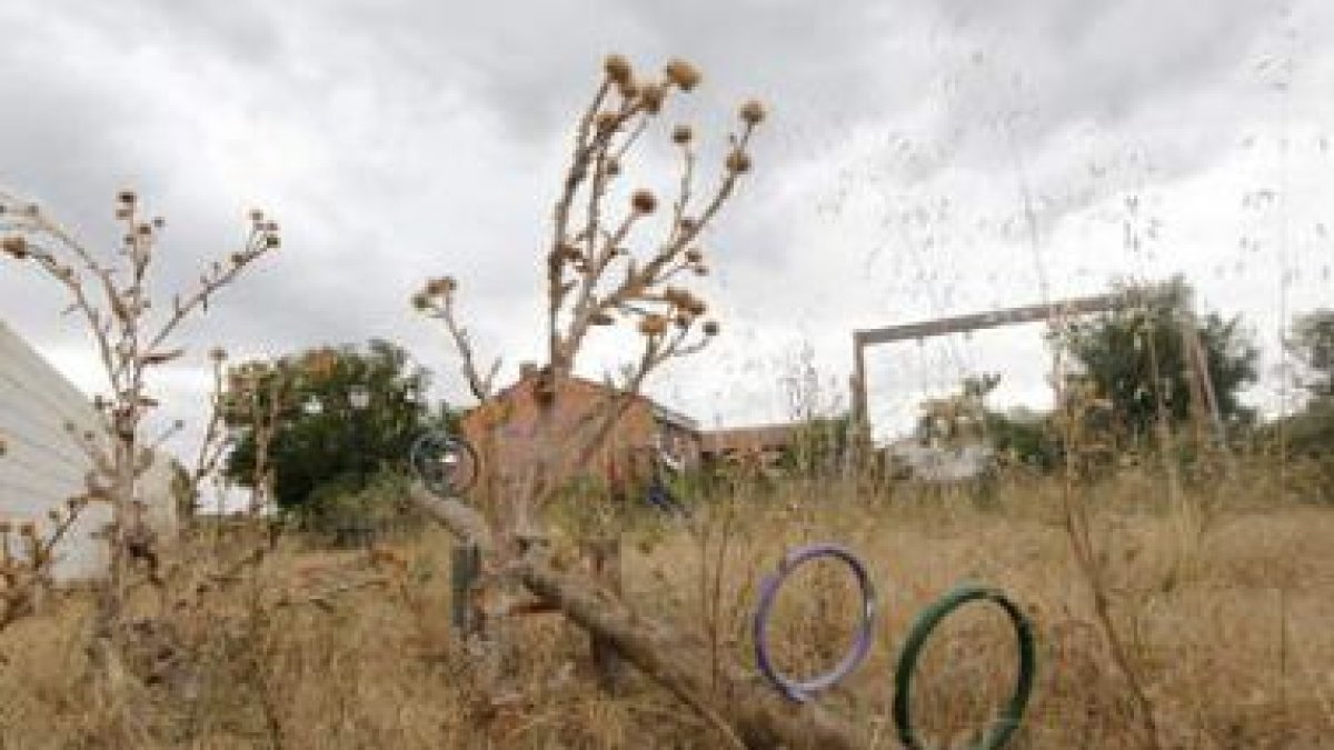Los columpios abandonados entre la maleza, a la espera de llegar a un acuerdo con el parque.
