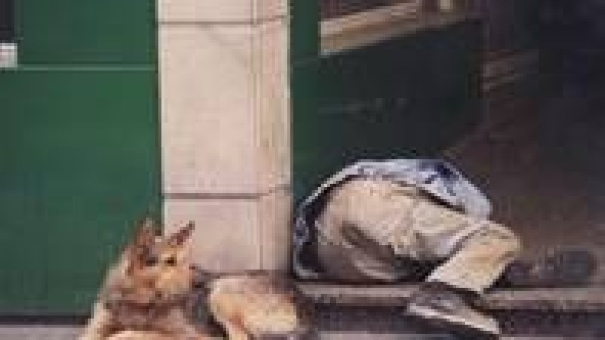 Unas 30.000 personas duermen en la calle por la escasez de plazas en centros de acogida