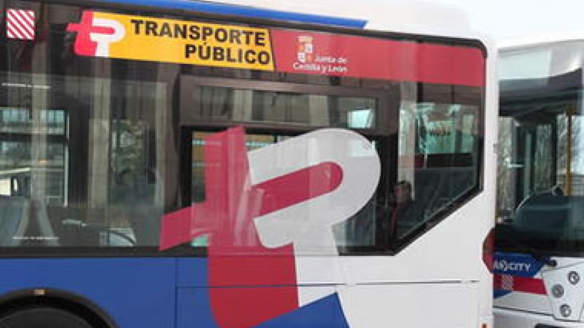 Detalle de la imagen corporativa del transporte.