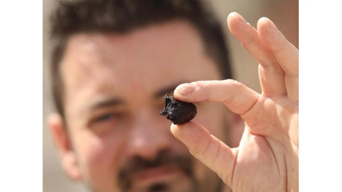 Carlos Pardo, con un ajo negro listo para comercializar. L. DE LA MATA