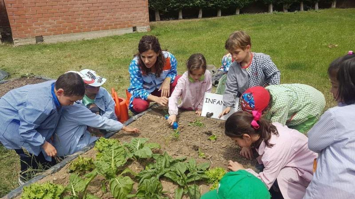 Un grupo de niños participa en un día de ‘trabajo’ en el huerto escolar del Benito León. DL