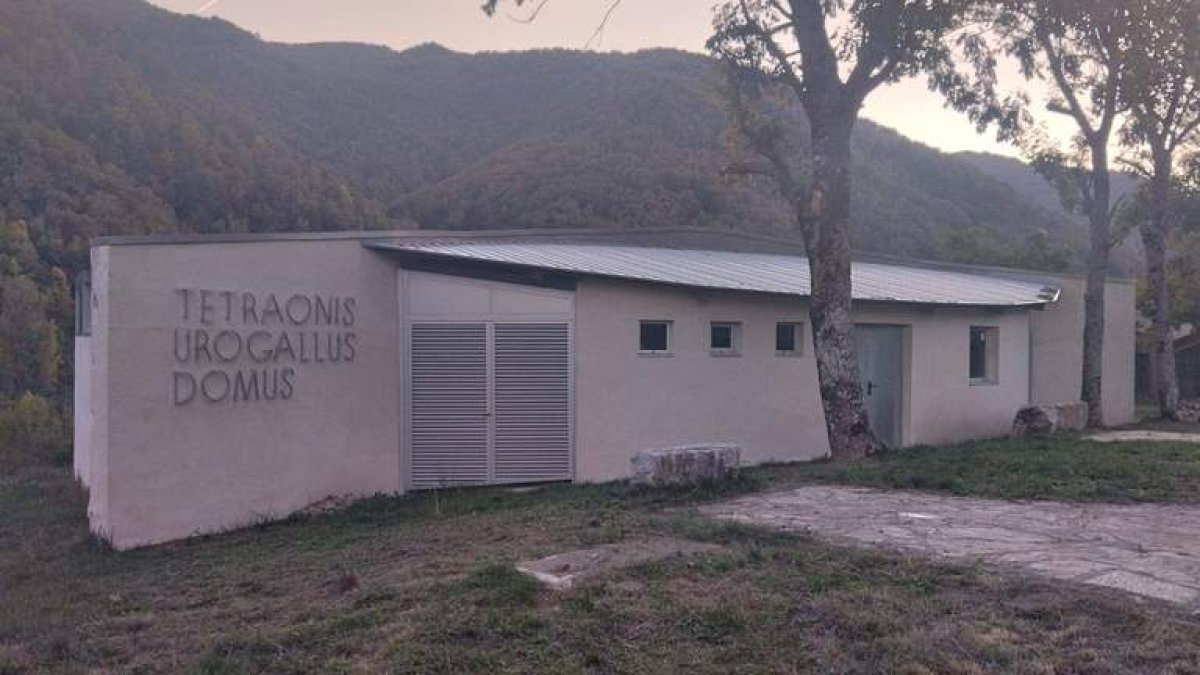 Imagen de algunos de los ejemplares que se dieron cita ayer en Villablino. RAMIRO