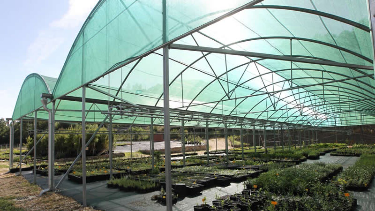 Instalaciones del vivero. L. DE LA MATA
