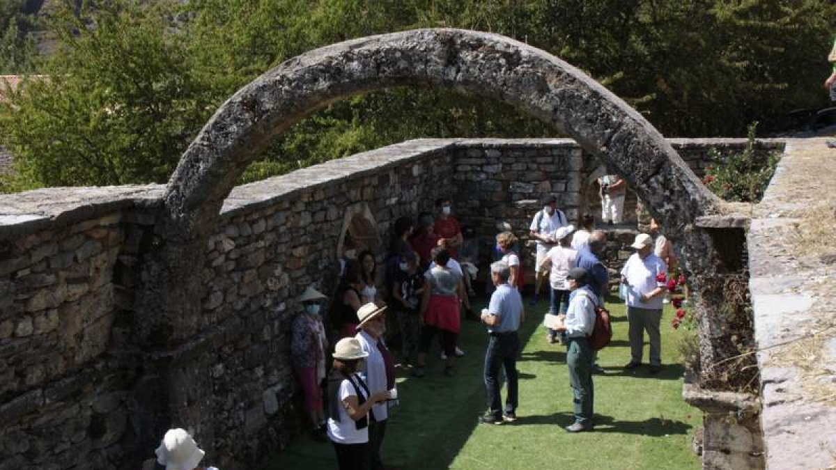 Restos del monasterio de San Martín de Alión (S. IX). CAMPOS