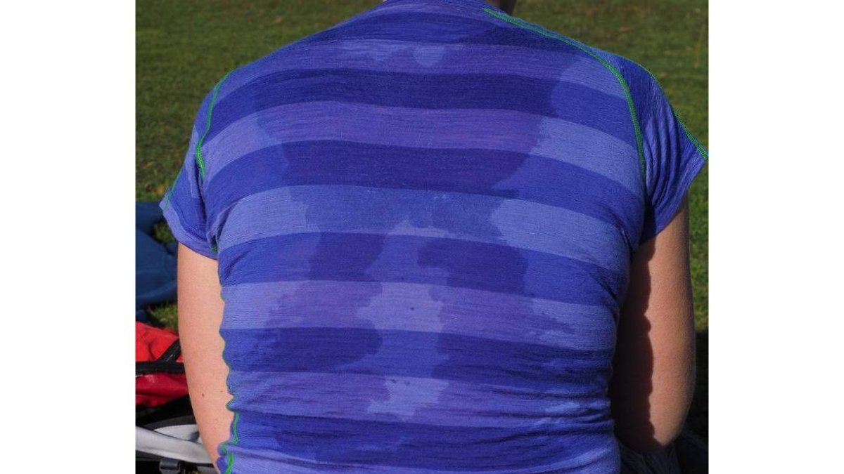 El sudor es el mecanismo que permite regular la temperatura del cuerpo. dicyt