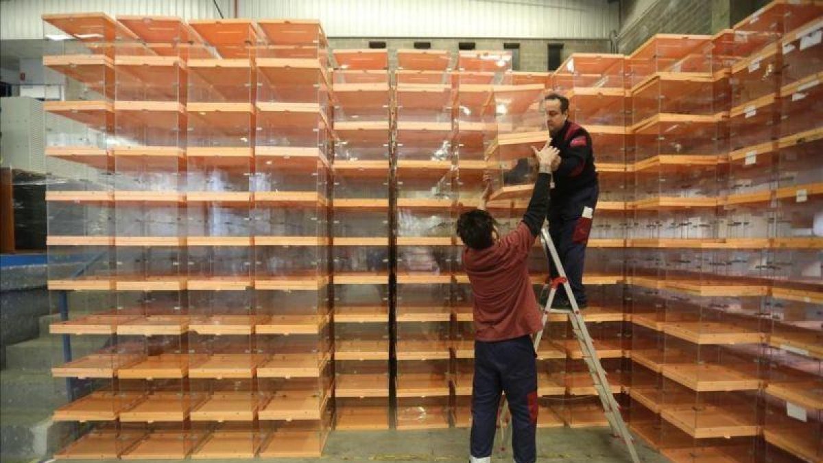 Unos operarios recogen urnas del almacén del Ayuntamiento de Barcelona para llevarlos a los colegios electorales antes del 20-D.