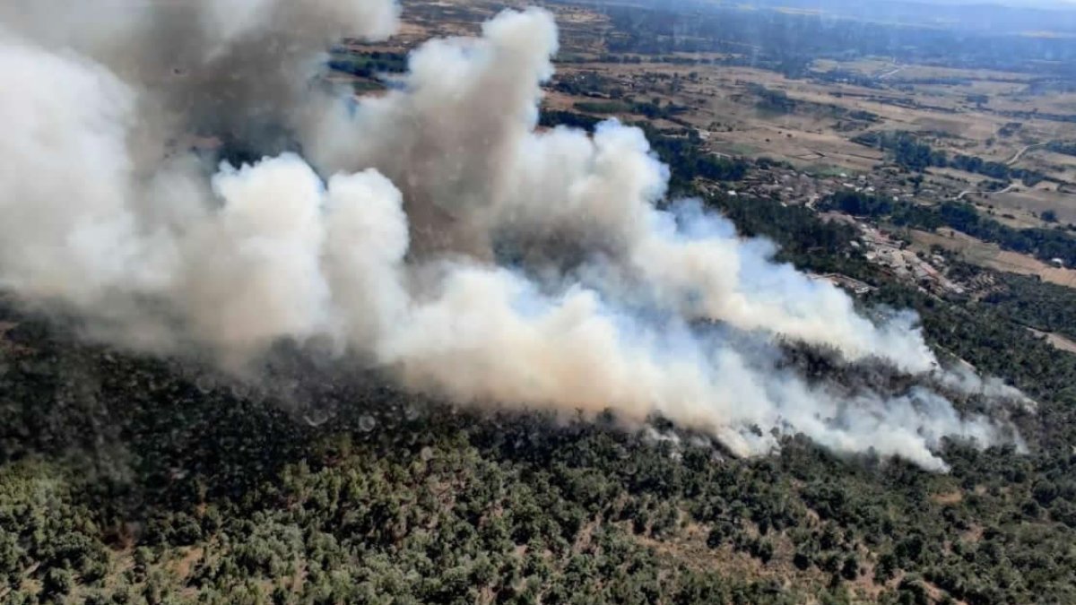 Incendio magaz de cepeda