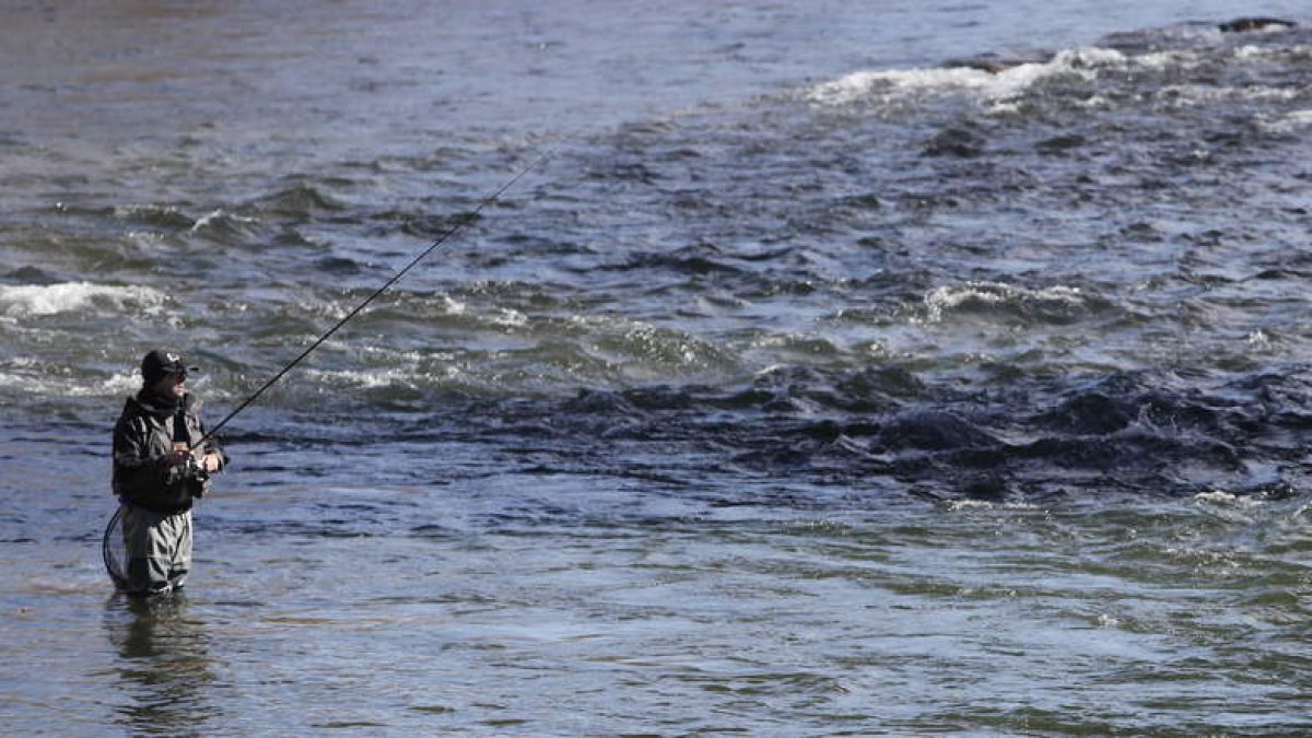 El río Órbigo alberga hoy y mañana el Campeonato de España de salmónidos mosca. JESÚS F. SALVADORES