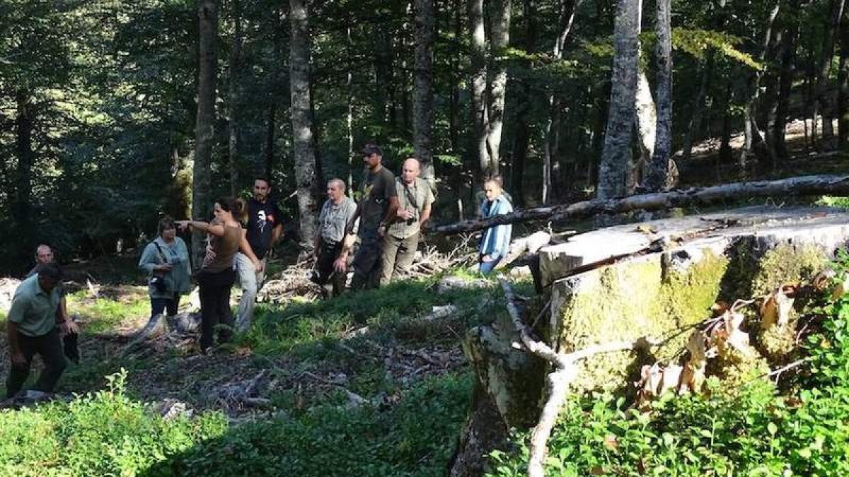 Los técnicos del prograna Life de Polonia estuvieron acompañados por los responsables del proyecto que se lleva a cabo en la Cordillera Cantábrica. DL
