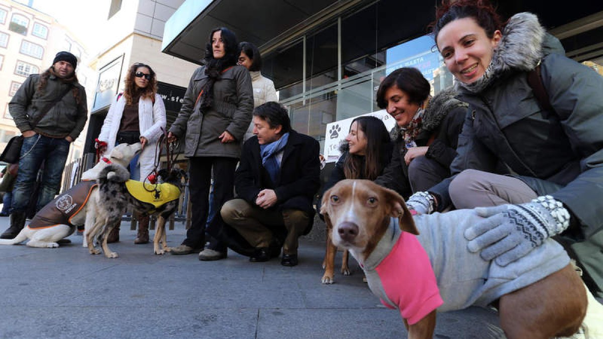 Perros que han pasado por el albergue canino, ayer con el alcalde, en el centro, en Lazúrtegui.