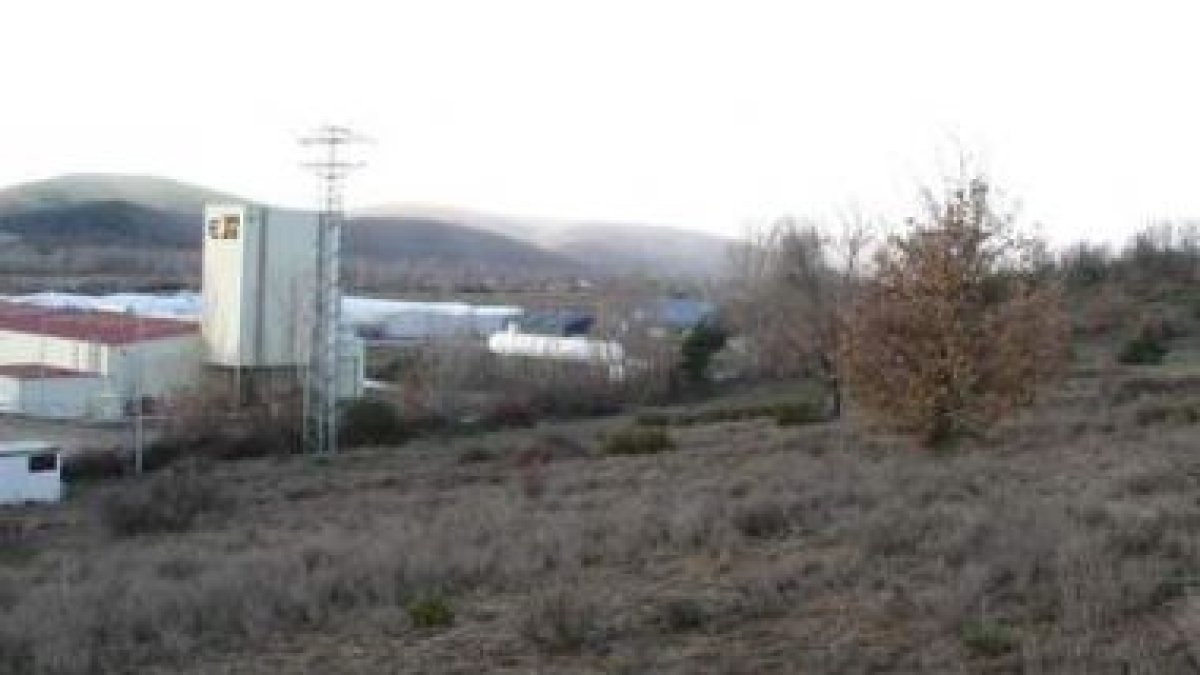 Parte de los terrenos que se utilizarán para ampliar el polígono industrial de Vidanes.