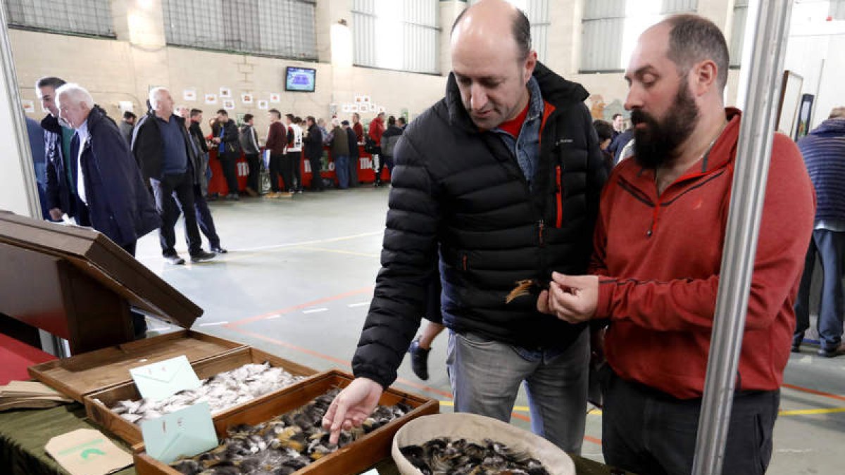 La Feria de Gallo de Pluma y Mosca Artificial contó con un rotundo éxito de público.  MARCIANO PEREZ
