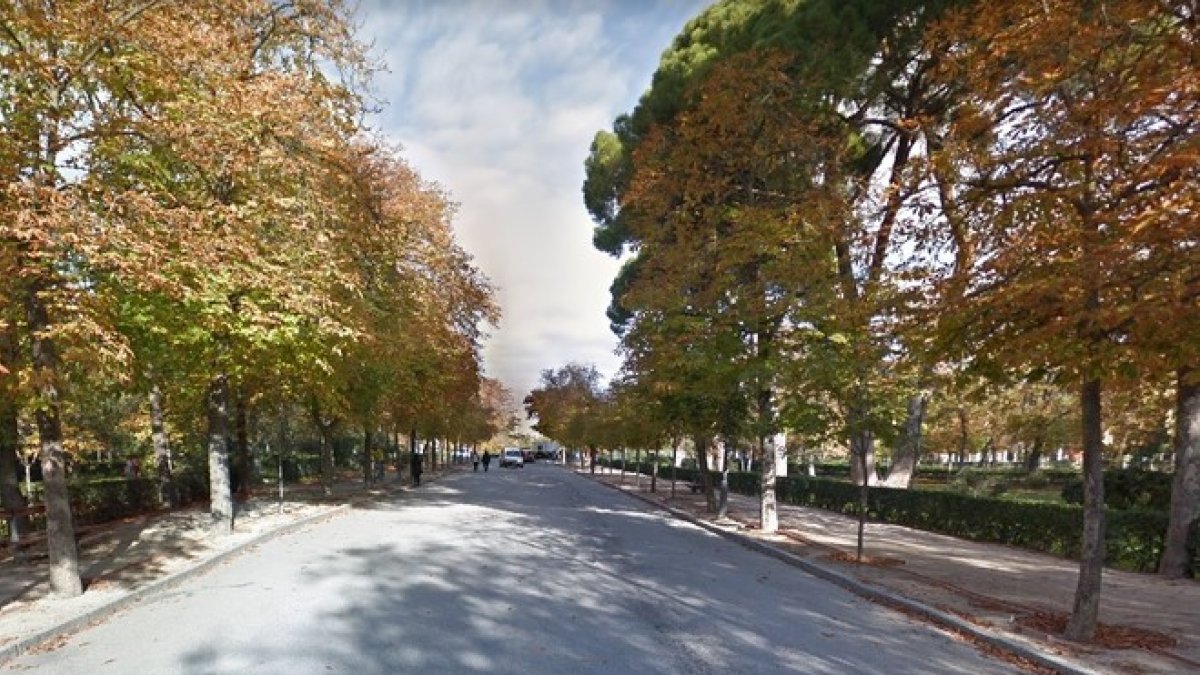 Interior del parque de El Retiro, en Madrid.