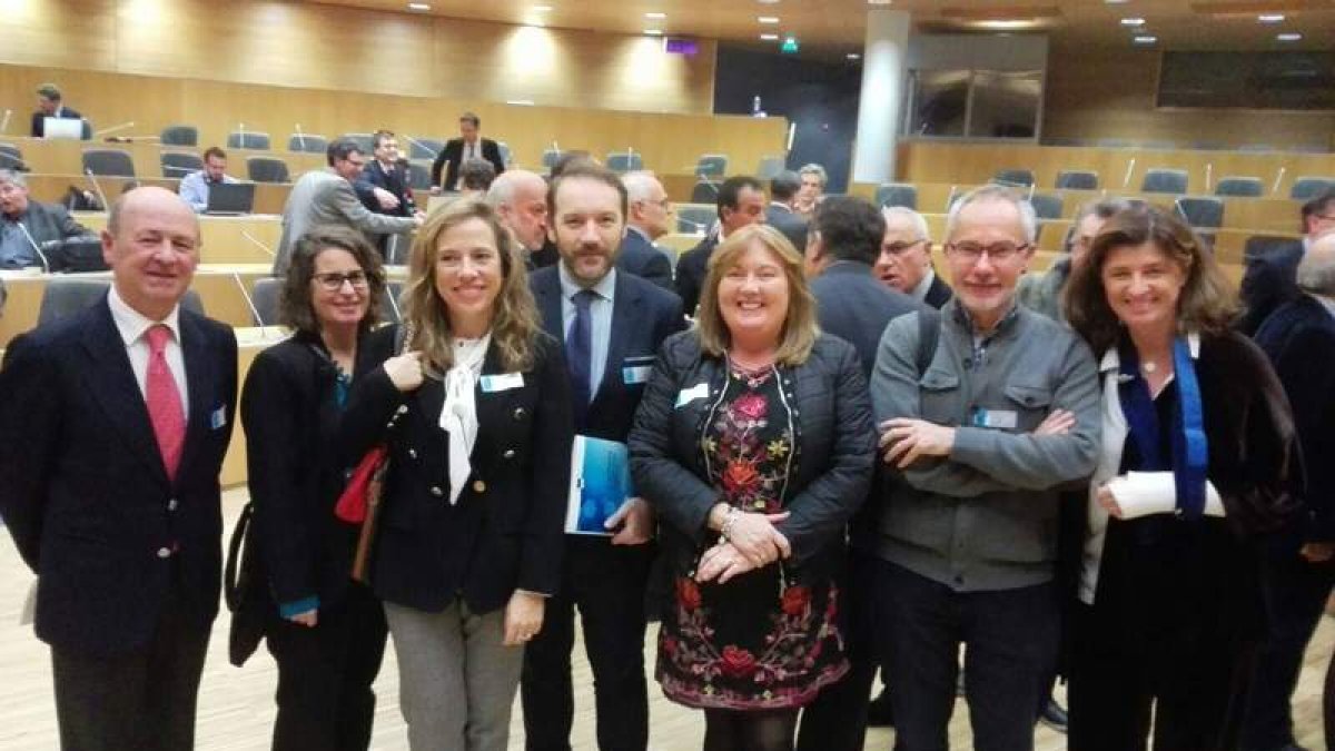 Parte de la representación española en la reunión de ayer en Estrasburgo. DL