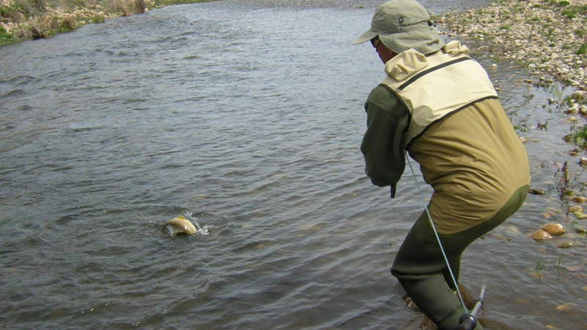 En la presente edición del certamen participarán las mejores cañas del ámbito competitivo de la pesca de salmónidos a mosca.