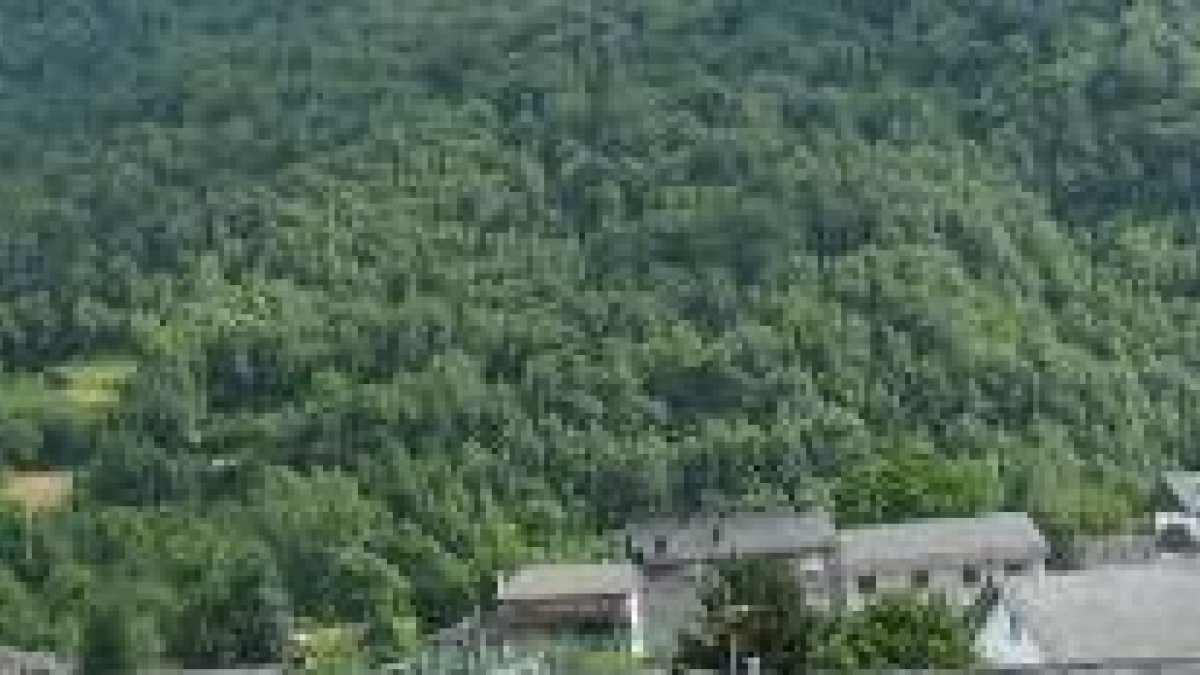 Los montes de utilidad pública están ligados a la provincia de León desde hace siglos
