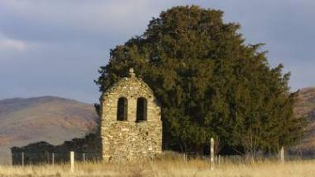El tejo de San Cristóbal de Valdueza da sombra a una ermita vacía y sin campanas.