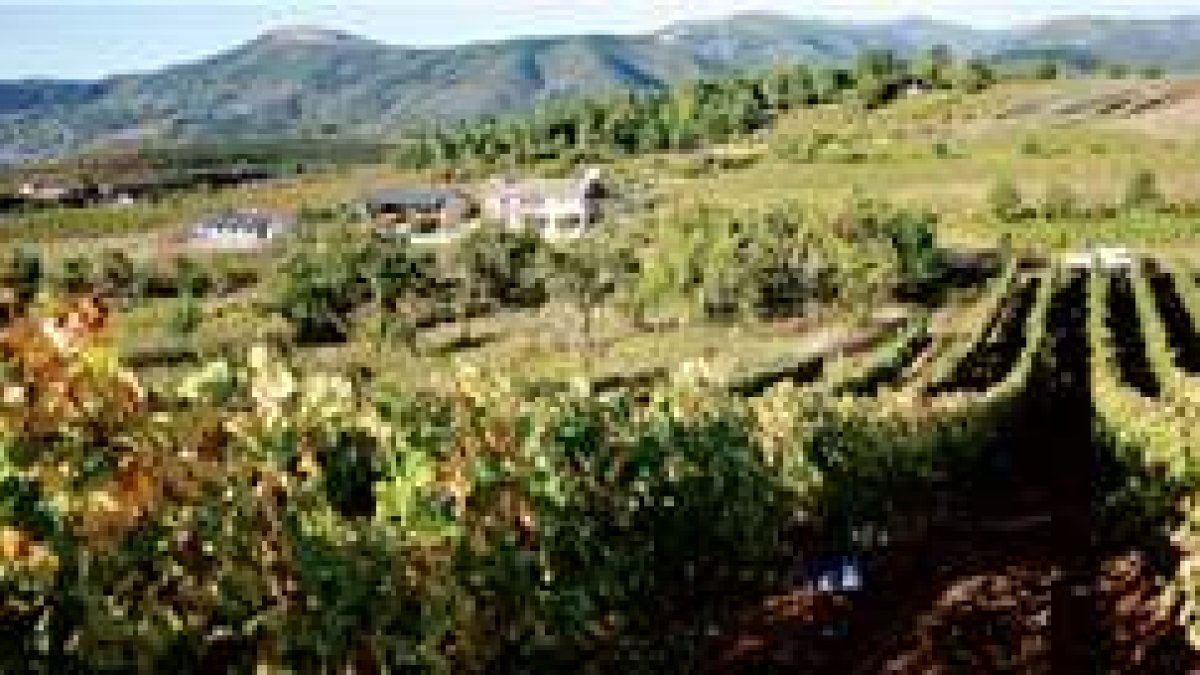Vista general de Valdetruchas, la finca de cincuenta hectáreas sobre la que se levantará la bodega.