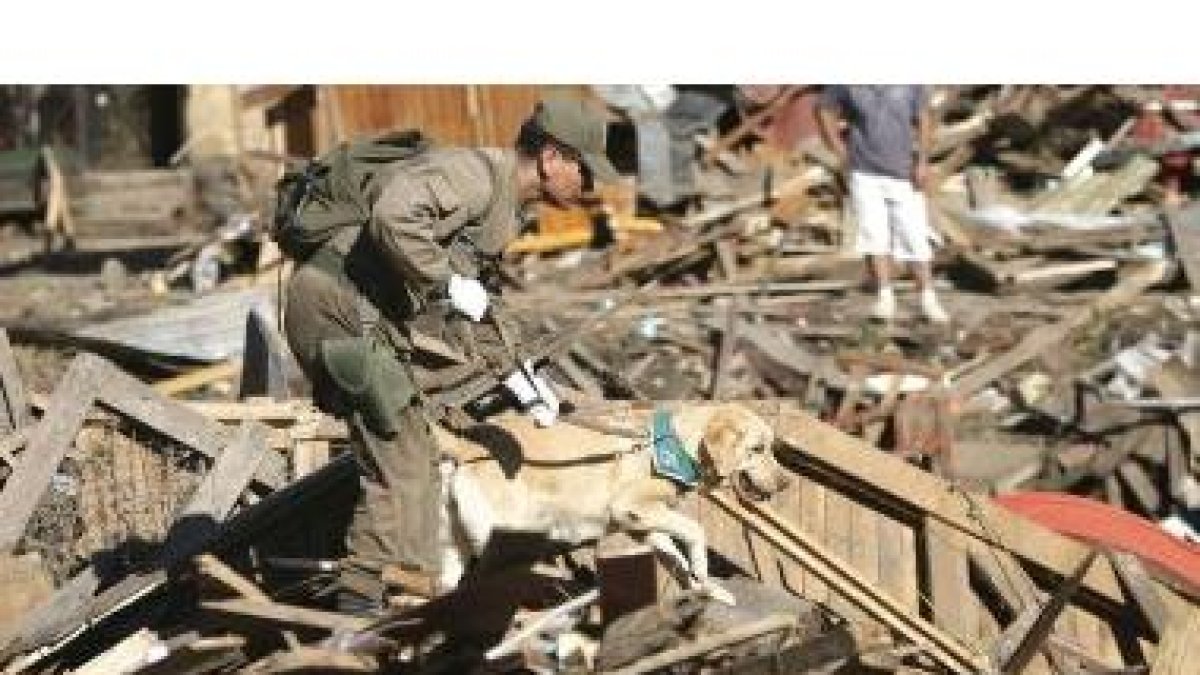 Un agente busca con ayuda de un perro entre los escombros.