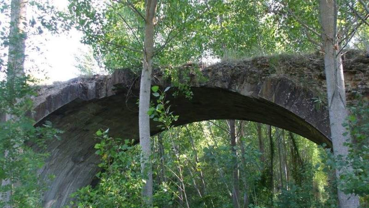 Puente Blanco de Villahibiera, rodeado de vegetación.
