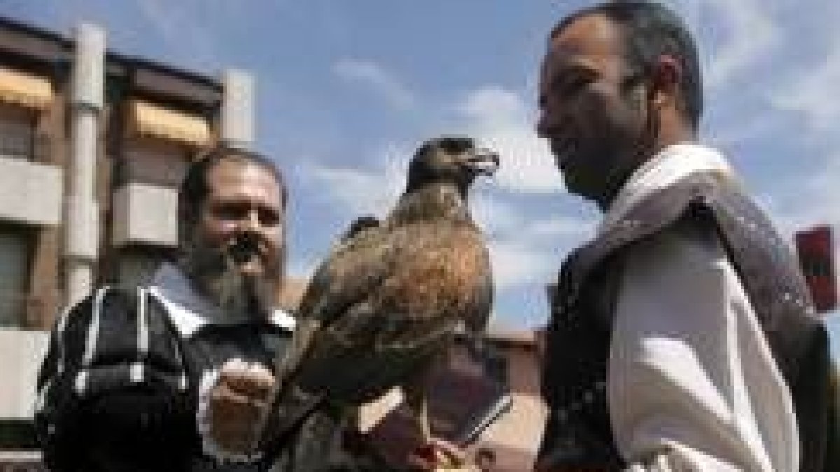 La exhibición de cetrería, una de las apuestas del programa
