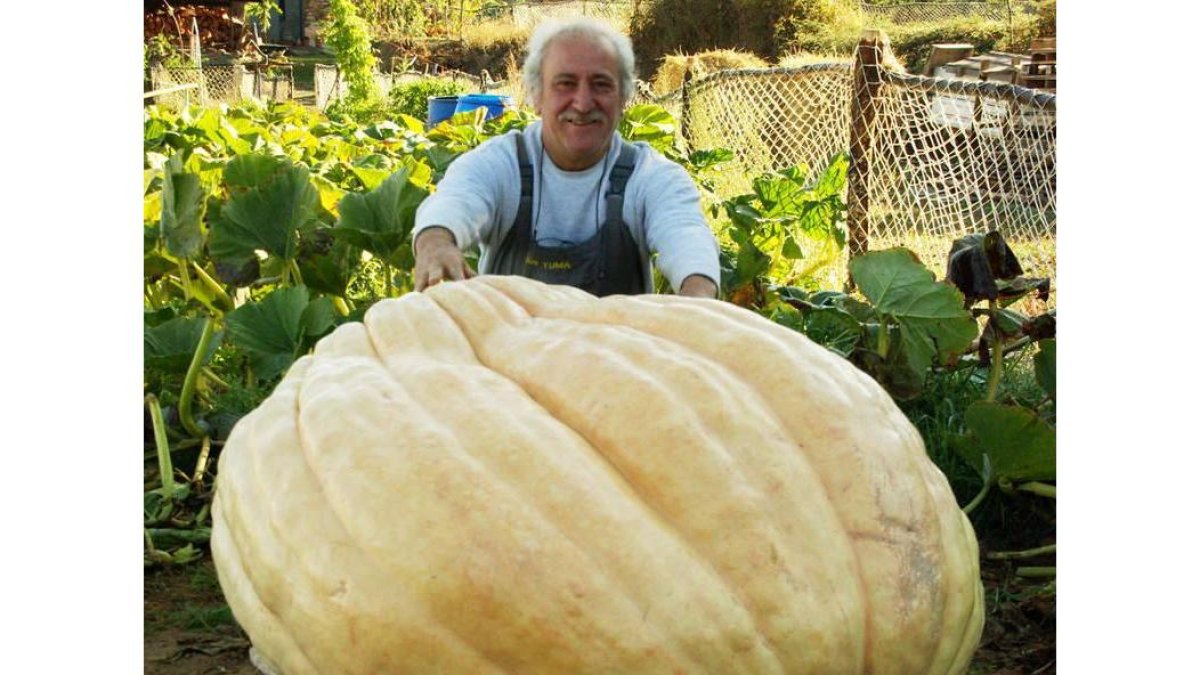 El cultivador, Miguel Yuma, y una colaboradora del BAS, ayer tras el pesaje de la calabaza con un tractor en la feria de El Espino.