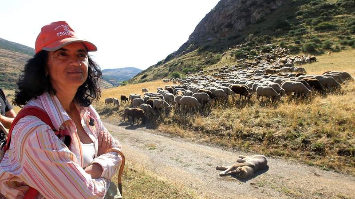 Violeta Alegre pastorea las ovejas en el puerto pirenaico de Fueyo del Agua desde mediados de julio a primeros de septiembre. Es la única mujer entre casi cincuenta pastores trasterminantes en la provincia.
