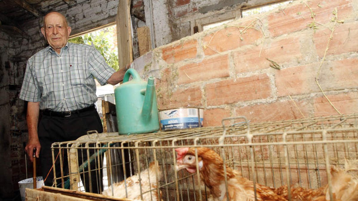 Jacinto Rodríguez, de Trobajo del Cerecedo, vive con su hijo y su nuera, que se encargan de las gallinas y conejos.