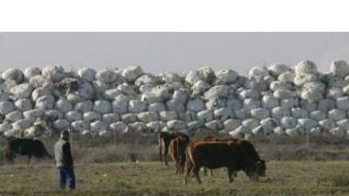 Miles de toneladas de basura apiladas en fardos se acumulan en Santa María del Páramo desde abril de