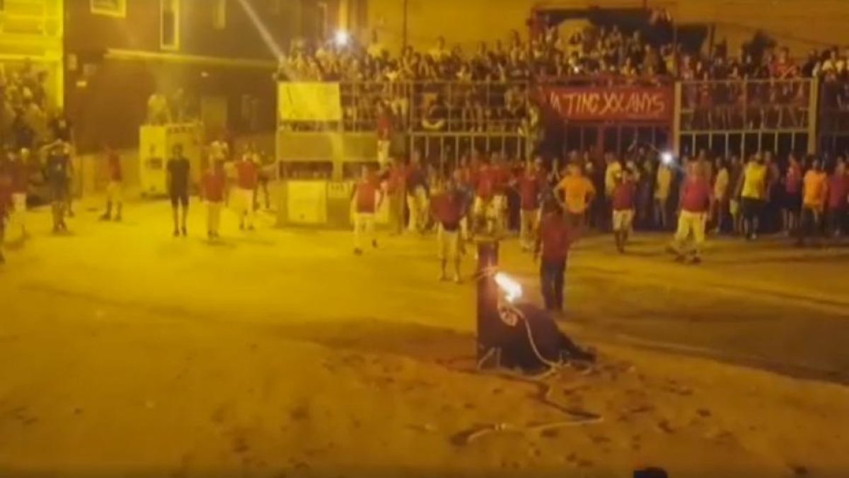 El toro, en el suelo, tras impactar contra el pilón