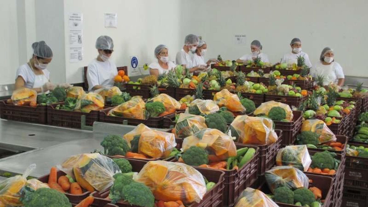 Distribución de productos en el Banco de Alimentos de Colombia. ABACO