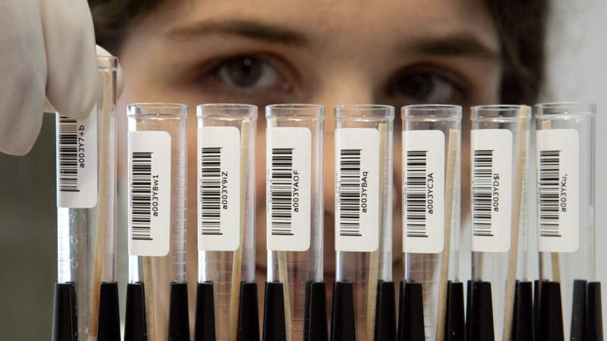 La medicina genética avanza a pasos agigantados. FRANK MAY