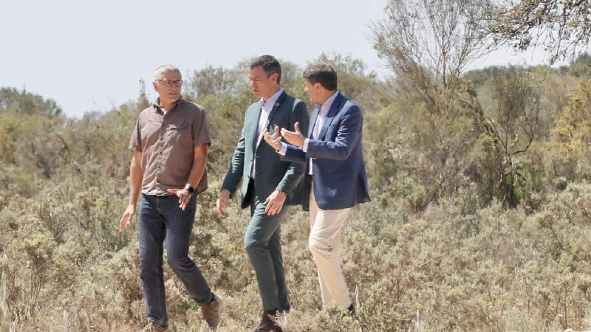 Pedro Sánchez ayer, durante su visita a Doñana JOSÉ MANUEL VIDAL