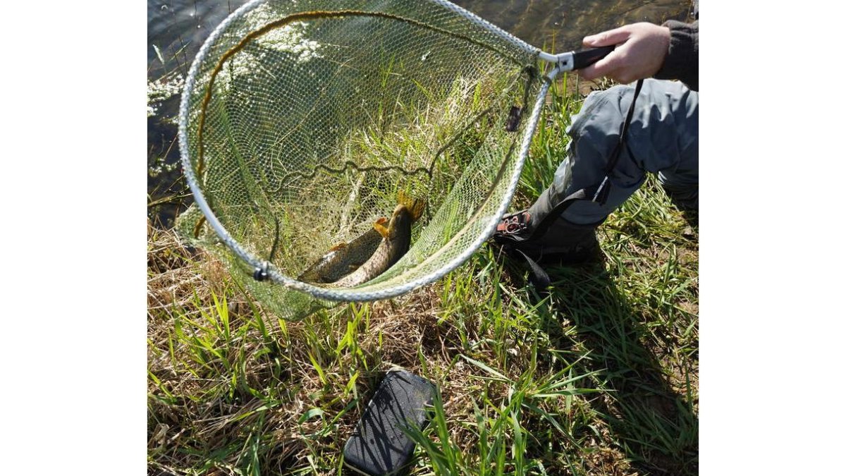 La temporada de pesca se augura en clave positiva para 2024. J. NOTARIO