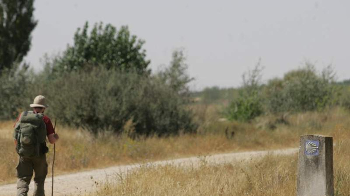 Un peregrino, en uno de los trayectos que recorre la provincia de León.