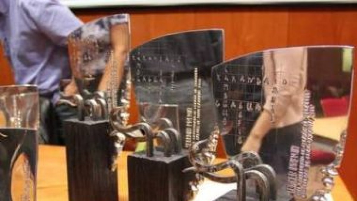 Imagen de los trofeos del Campeonato de España.