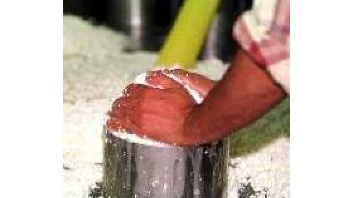 La leche de oveja se destina, principalmente, a fabricar queso