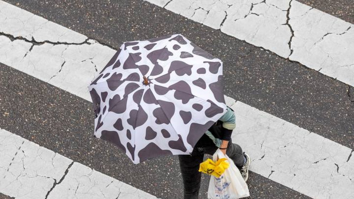 lluvia