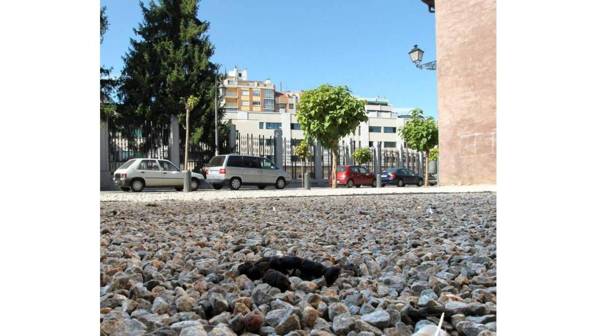 Junto a la muralla de Ruiz de Salazar es frecuente encontrar excrementos casi a diario.