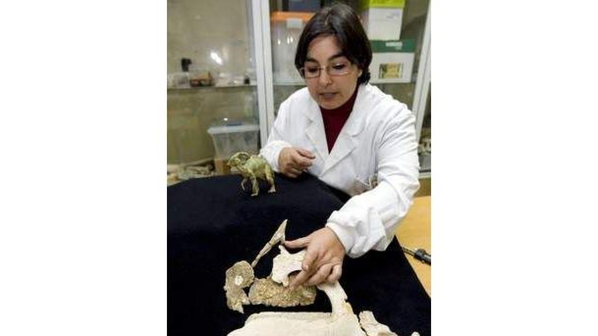 La paleontóloga Penélope Cruzado muestra los fósiles descubiertos en Arén.