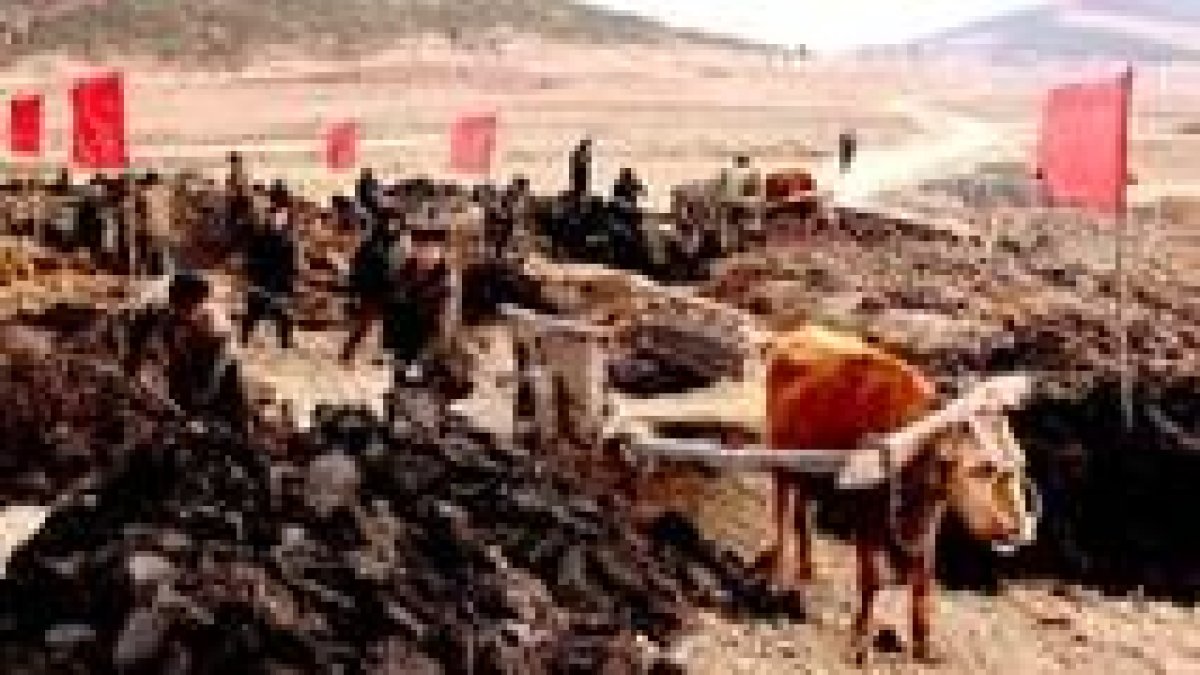 Campesionos de Sonchon (norte del país) echan turba para incrementar la fertilidad de sus tierras