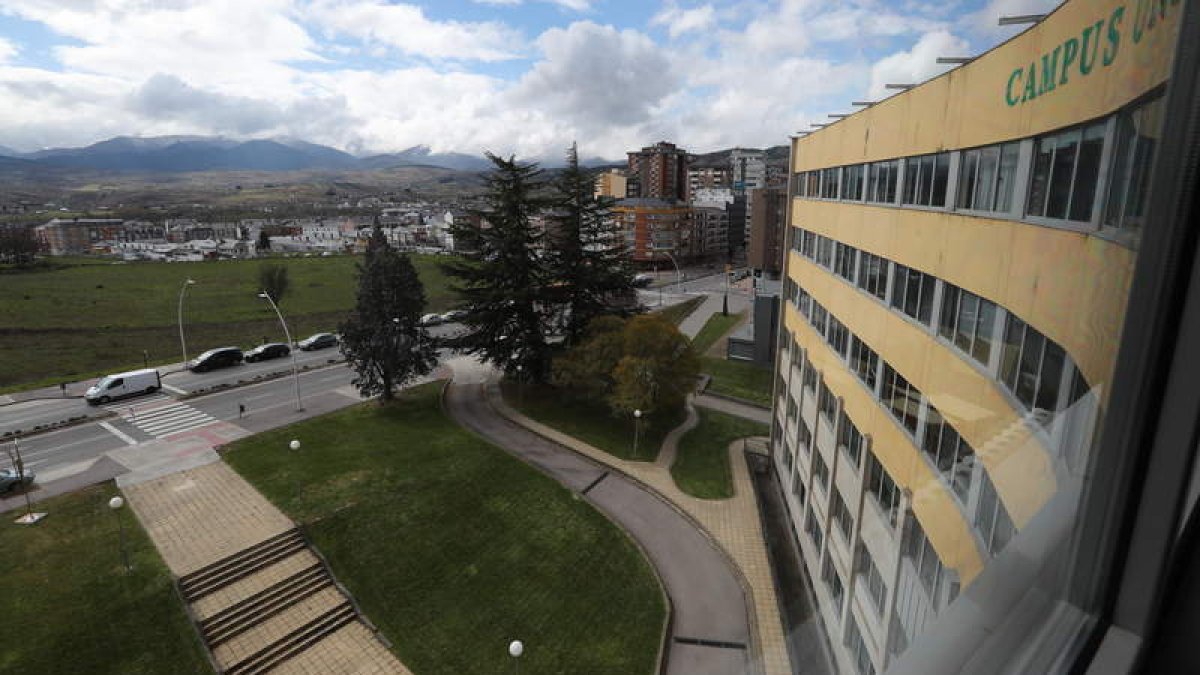 Los alumnos plantarán hoy árboles en el Campus. L. DE LA MATA